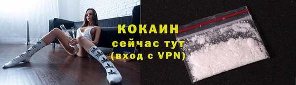 винт Мегион