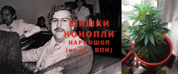 винт Мегион