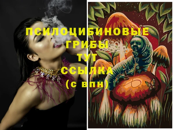 винт Мегион